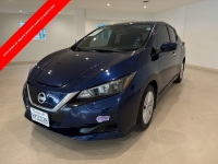 2019 Nissan Leaf